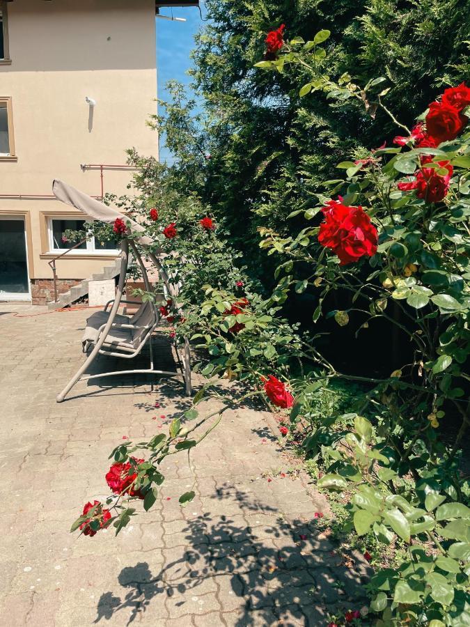 Cozy Glen Apartment Targu Mures Luaran gambar
